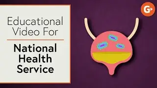 Animated Video | Digital Marketing Agency, Oxfordshire | Educational Video | Ginger Digital