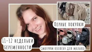 Беременный влог🤰| Первые покупки для новорожденного | Выбрали идеальную коляску | Конец 1 триместра😱