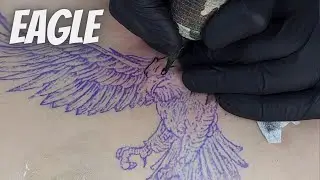 Eagle tattoo -time lapse