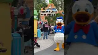 Meet and Greet with Donald #shortvideo  #disneylandcalifornia  #disneyexperience