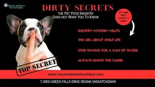 Dirty Secrets the Pet Food Industry Doesn't Want You to Know🐾☠️