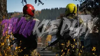 DayZ сервер TwinklePlay , вечерние прогулки команды NR)