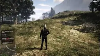 Gta v dunce cap removal