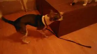 MOV01792