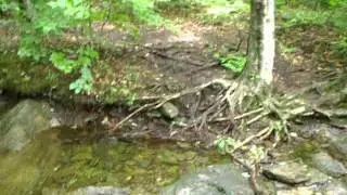 Camping au Diable Vert 22