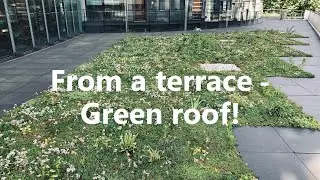 Transforming a terrace into a Green roof without irrigation system