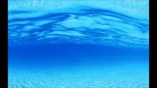 Dee`n Cee - submarine rave