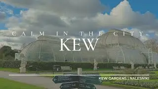 🌼Kew Gardens Orchid Festival, polish pancakes nalesniki | spring in London, weekend vlog