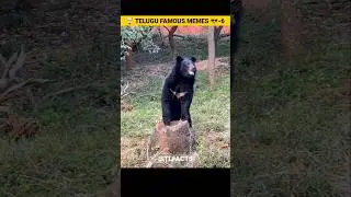 🤯 TELUGU FAMOUS  MEME`S 😉-6 #facts #funny #telugumemes #memes #entertainment