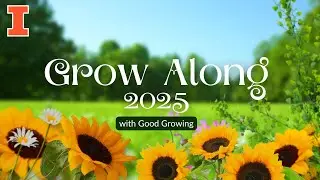Заключительная проверка результатов проекта Grow Along 2025