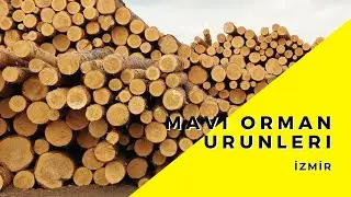 MAVI ORMAN URUNLERI | EUROSTAR TV 