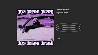 sogone soflexy _ big wide body