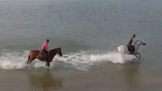 Drone & Galop sur la plage / Gallop on the Beach