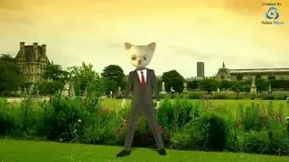 Cat 3D Character Video Made With Video Wave