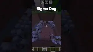 Real Sigma Dog in Minecraft