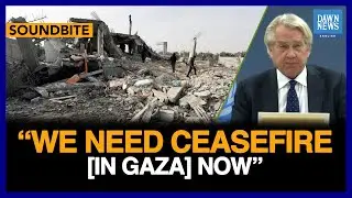 We Need Ceasefire [In Gaza] Now, Stresses UN Special Coordinator | Dawn News English