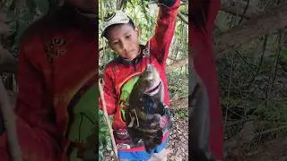 palometa Real o zetti #viral #lineadepesca #pesca #elpersonajedelasemana