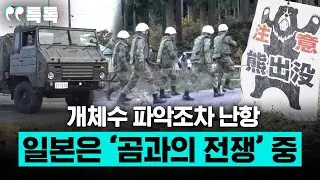 개체 수 파악조차 난항... 일본은 지금 '곰과의 전쟁' 중