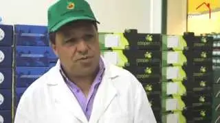A nossa Cooperativa - Cooperfrutas