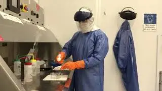 Next Generation Quantum Corp