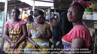 The Farm and Coop Investment Program