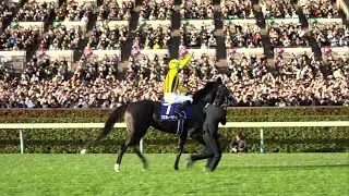 SIX Tenno Sho triumphs for Christophe Lemaire! 🇯🇵 | Racing TV