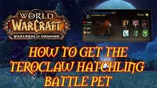 How to get the Teroclaw Hatchling Battle Pet