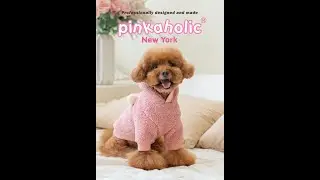 New Collection Pinkaholic A/I 2024-2025🐩