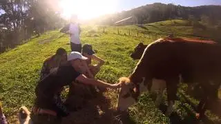 GoPro: Byron and Burringbar 2014