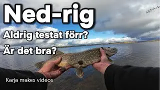 FISKE - Testar ned-rig f&ouml;r ABBORRE - men G&Auml;DDOR tar &ouml;ver 🐟