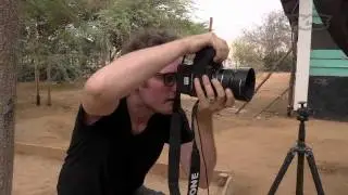 Picture Perfect: James Mollison (Trailer)