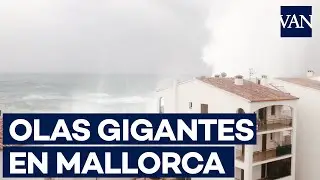 La borrasca 'Gloria' provoca olas gigantes en Portocolom, Mallorca