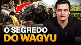 O BOI QUE BEBE CERVEJA? A VERDADE SOBRE O WAGYU