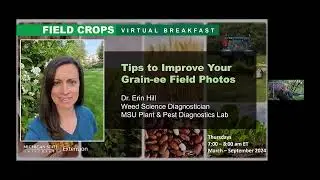 Field Crops Virtual Breakfast: Tips to Improve Your Grain-ee Field Photos