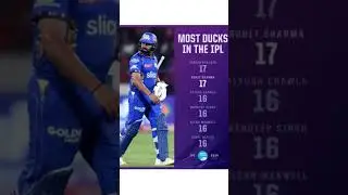most duck out