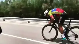 Deceuninck - Quick - Step Team Sprint