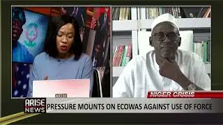 Niger Coup: ECOWAS Would Act Differently If They Were Prisoners of History - Shehu