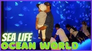 SEALIFE OCEAN WORLD BANGKOK