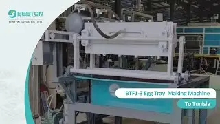 BTF1-3 Egg Tray  Making Machine to Tunisia