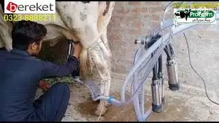 Milking Machine || Dairy Farming ||  Mobil Milking Machine in Pakistan || Profarm Pakistan