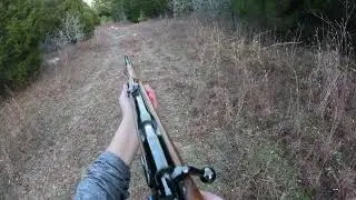 German .22lr Mauser - POV
