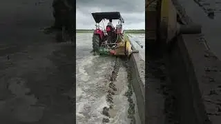 BHARAT RIDGE PLASTER 1010 excellent work at wet lands