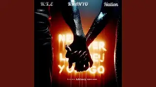 Never let you go (feat. N.X.E & Khanyo)