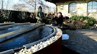 Modern Koi Blog #2253 - Wasseranalyse im Aufzuchtteich