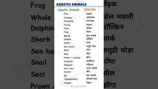 Water Animals Name in hindi and english | water animals | जलीय जीव Aquatic Animals #aquatic #animals