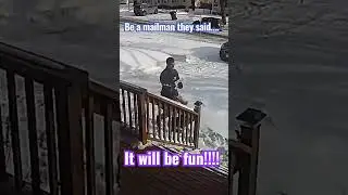 Be a mailman they said.  It will be FUN!!