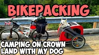 Bikepacking: Going Camping On Crown Land With My Dog