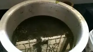 🆚 Gardens/ WONDER LIQUID FOR OUR PLANTS