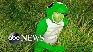 Tik Talk: Therapy Gecko is 'about being a gecko and talking to people on the phone' | ABCNL