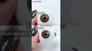 MYEYEBB Dew series Best For Dark Brown Eyes